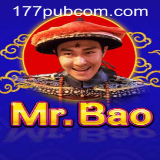 Exploring the Dynamic World of MrBao