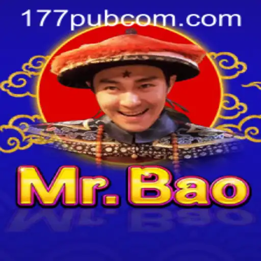 Exploring the Dynamic World of MrBao